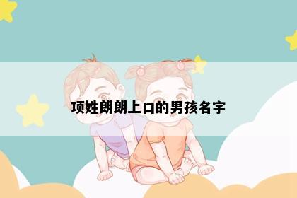 项姓朗朗上口的男孩名字