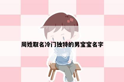周姓取名冷门独特的男宝宝名字