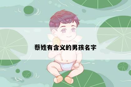 蔡姓有含义的男孩名字