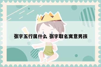 张字五行属什么 张字取名寓意男孩