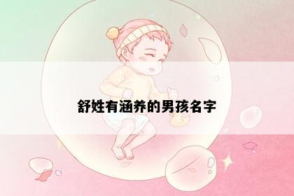 舒姓有涵养的男孩名字