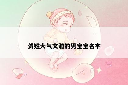 贺姓大气文雅的男宝宝名字