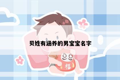 贝姓有涵养的男宝宝名字