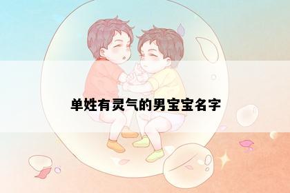单姓有灵气的男宝宝名字