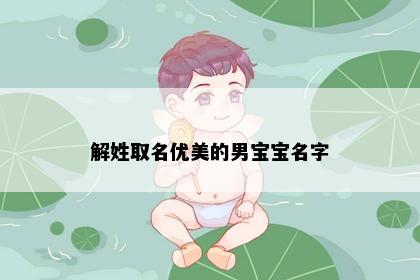 解姓取名优美的男宝宝名字