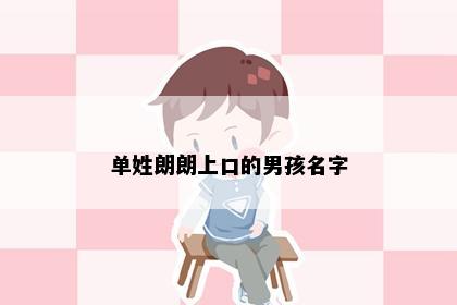 单姓朗朗上口的男孩名字