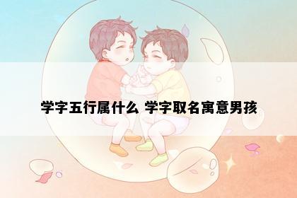 学字五行属什么 学字取名寓意男孩