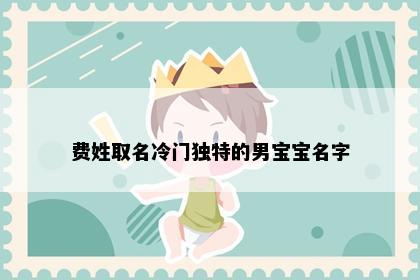 费姓取名冷门独特的男宝宝名字