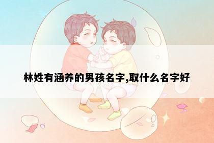 林姓有涵养的男孩名字,取什么名字好