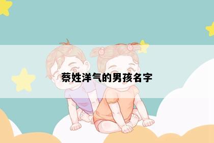 蔡姓洋气的男孩名字
