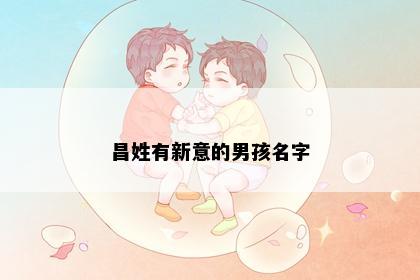 昌姓有新意的男孩名字