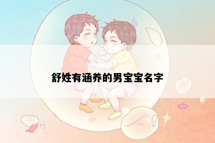舒姓有涵养的男宝宝名字