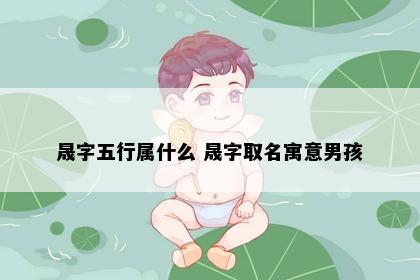 晟字五行属什么 晟字取名寓意男孩