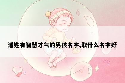 潘姓有智慧才气的男孩名字,取什么名字好