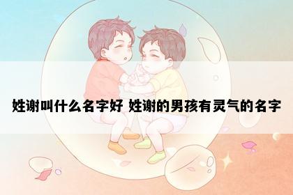姓谢叫什么名字好 姓谢的男孩有灵气的名字