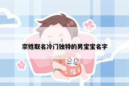宗姓取名冷门独特的男宝宝名字