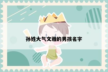 孙姓大气文雅的男孩名字