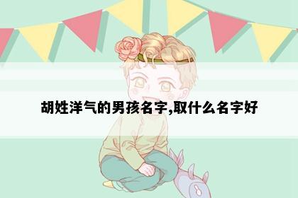胡姓洋气的男孩名字,取什么名字好