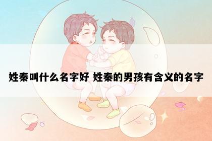 姓秦叫什么名字好 姓秦的男孩有含义的名字