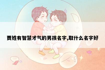 贾姓有智慧才气的男孩名字,取什么名字好