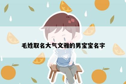 毛姓取名大气文雅的男宝宝名字