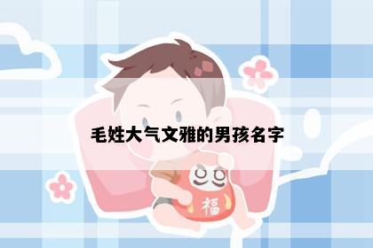毛姓大气文雅的男孩名字