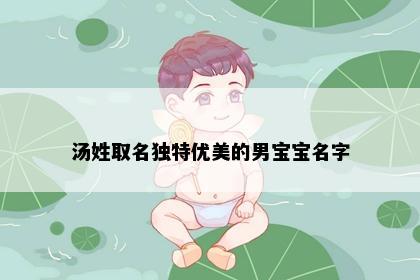汤姓取名独特优美的男宝宝名字