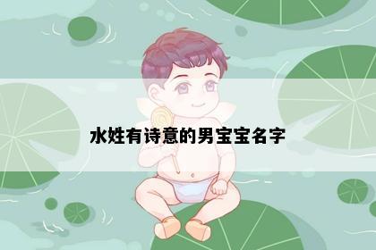 水姓有诗意的男宝宝名字