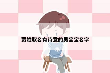 贾姓取名有诗意的男宝宝名字