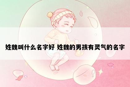 姓魏叫什么名字好 姓魏的男孩有灵气的名字