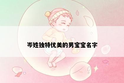 岑姓独特优美的男宝宝名字