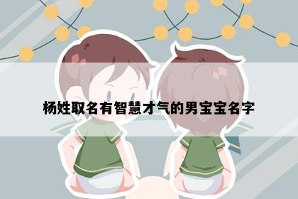 杨姓取名有智慧才气的男宝宝名字