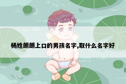 杨姓朗朗上口的男孩名字,取什么名字好
