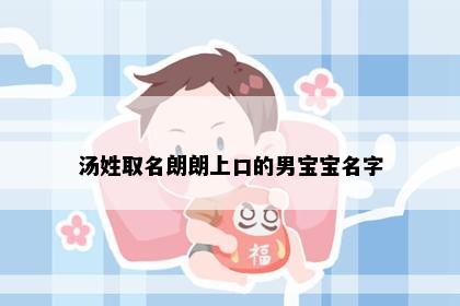 汤姓取名朗朗上口的男宝宝名字