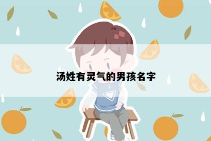 汤姓有灵气的男孩名字