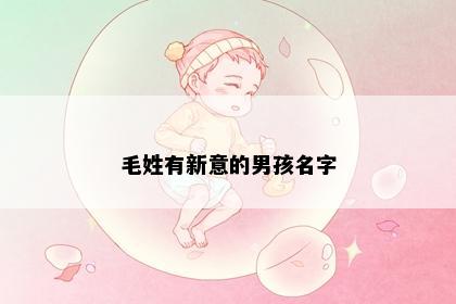 毛姓有新意的男孩名字