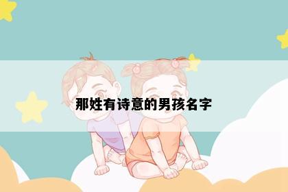 那姓有诗意的男孩名字