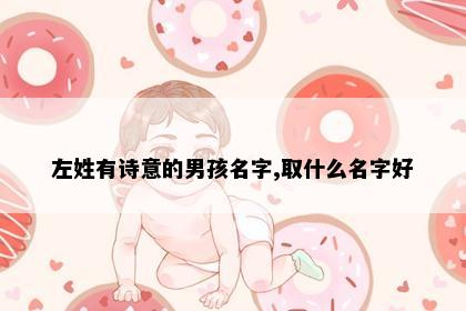 左姓有诗意的男孩名字,取什么名字好