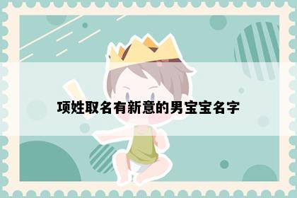 项姓取名有新意的男宝宝名字
