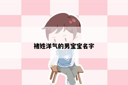 褚姓洋气的男宝宝名字