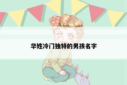 华姓冷门独特的男孩名字