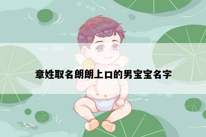 章姓取名朗朗上口的男宝宝名字
