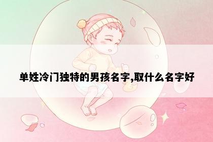 单姓冷门独特的男孩名字,取什么名字好