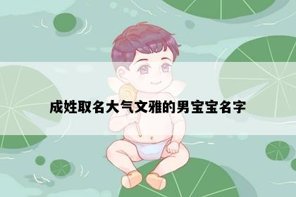 成姓取名大气文雅的男宝宝名字