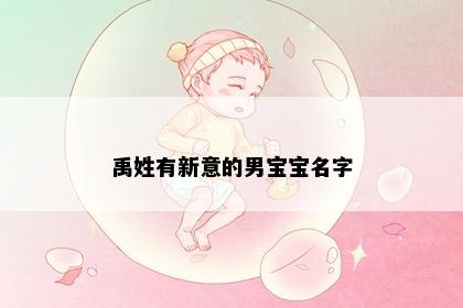 禹姓有新意的男宝宝名字