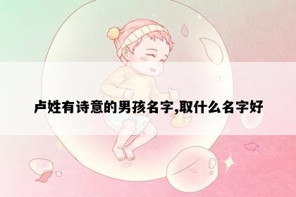 卢姓有诗意的男孩名字,取什么名字好