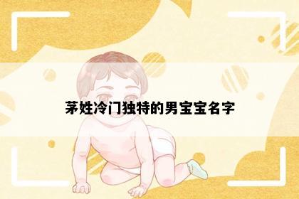 茅姓冷门独特的男宝宝名字