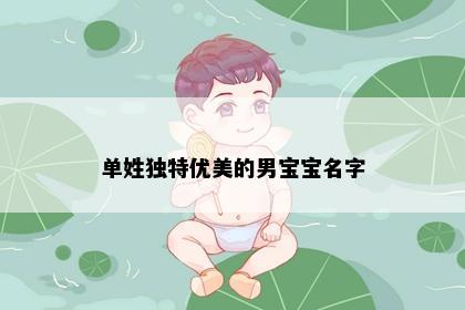 单姓独特优美的男宝宝名字