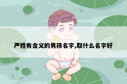 严姓有含义的男孩名字,取什么名字好