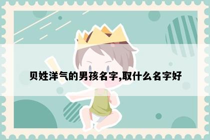 贝姓洋气的男孩名字,取什么名字好